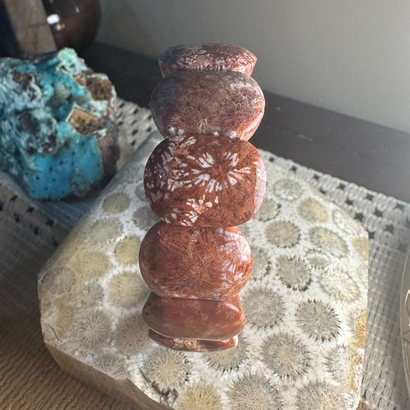 Coral Fossil Agate Beaded Elastic Bracelet - Picture 10 of 11